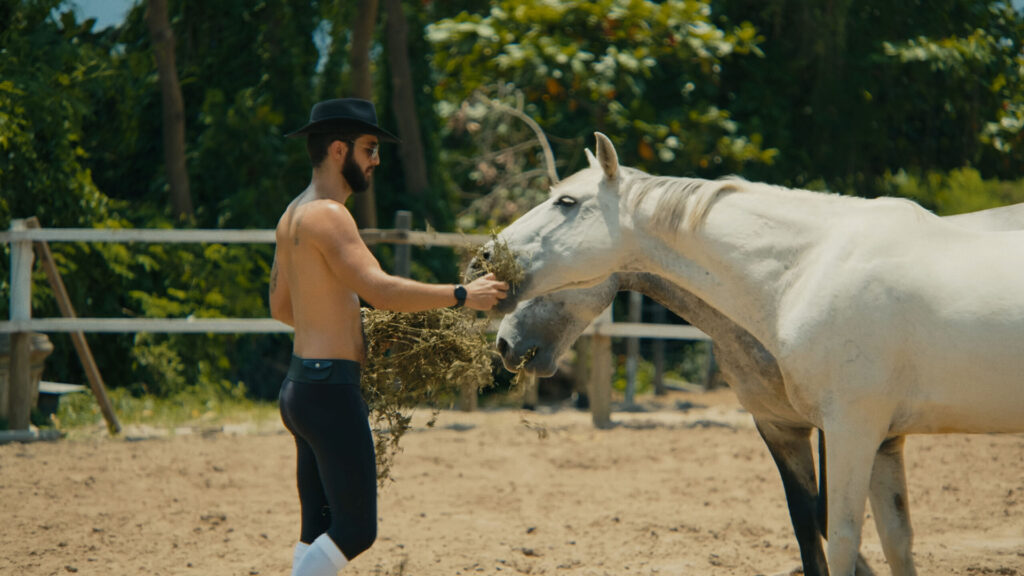 Pedro Had a Horse Gay Films Matter