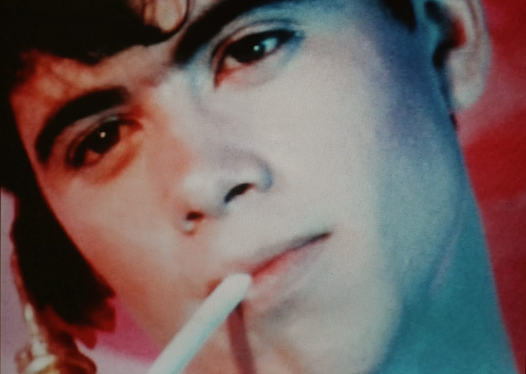 Pink Narcissus Gay Films Matter