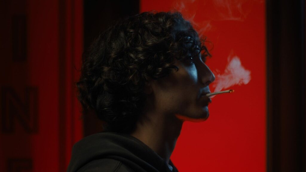 La Vedova Nera Gay Films Matter