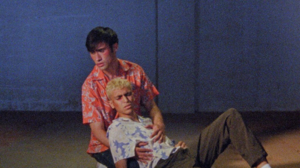 Los vírgenes Gay Films Matter