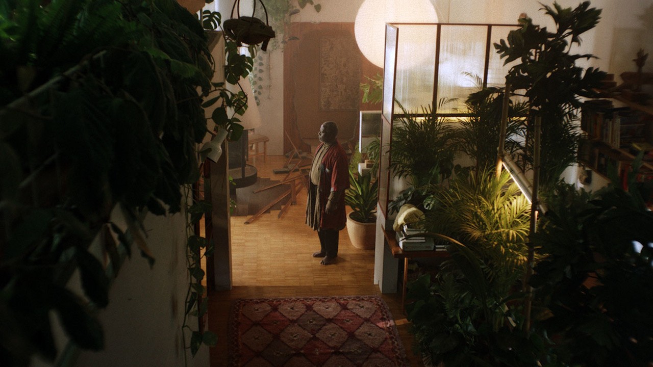 Successful Thawing of Mr. Moro Gay Films Matter