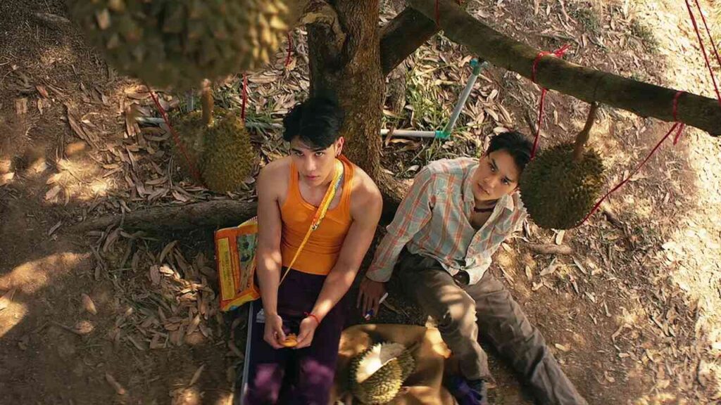 The Paradise of Thorns Gay Films Matter