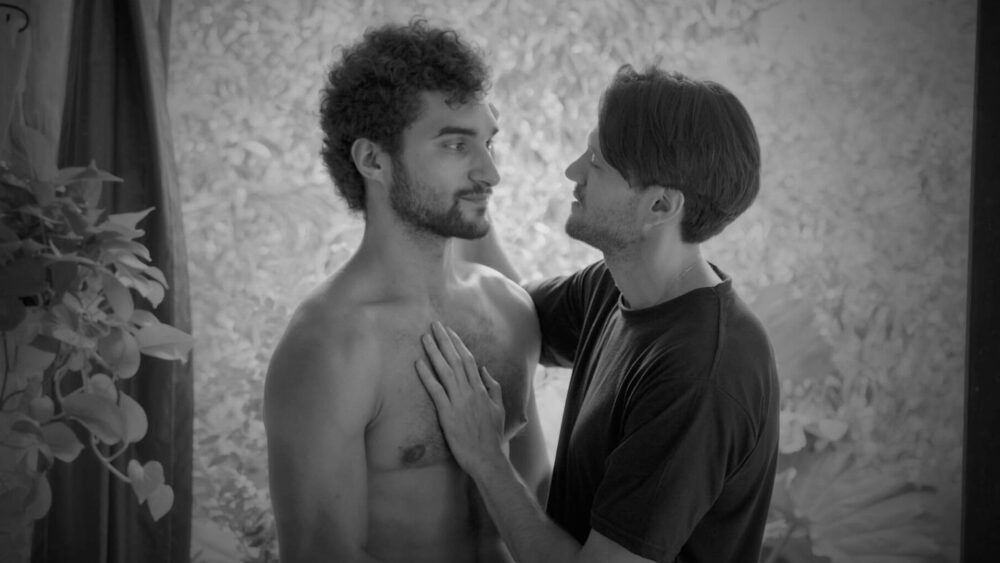 Perro Perro Gay Films Matter