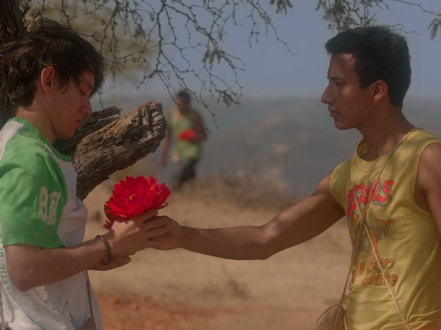 The Tiger's Fight Gay Films Matter
