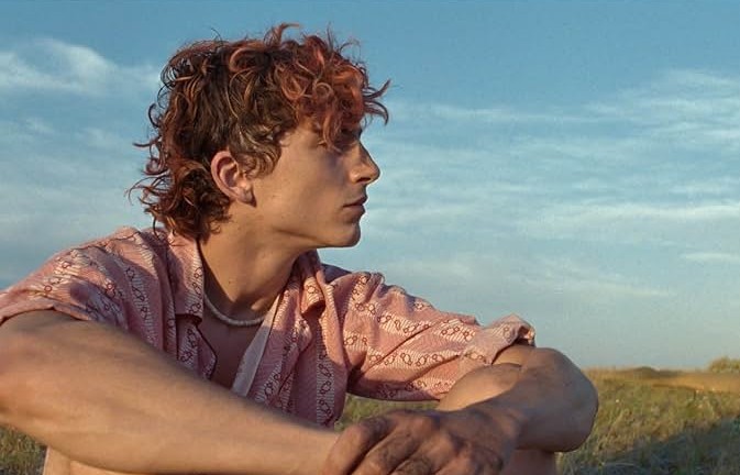 Bones and All Gay Films Matter