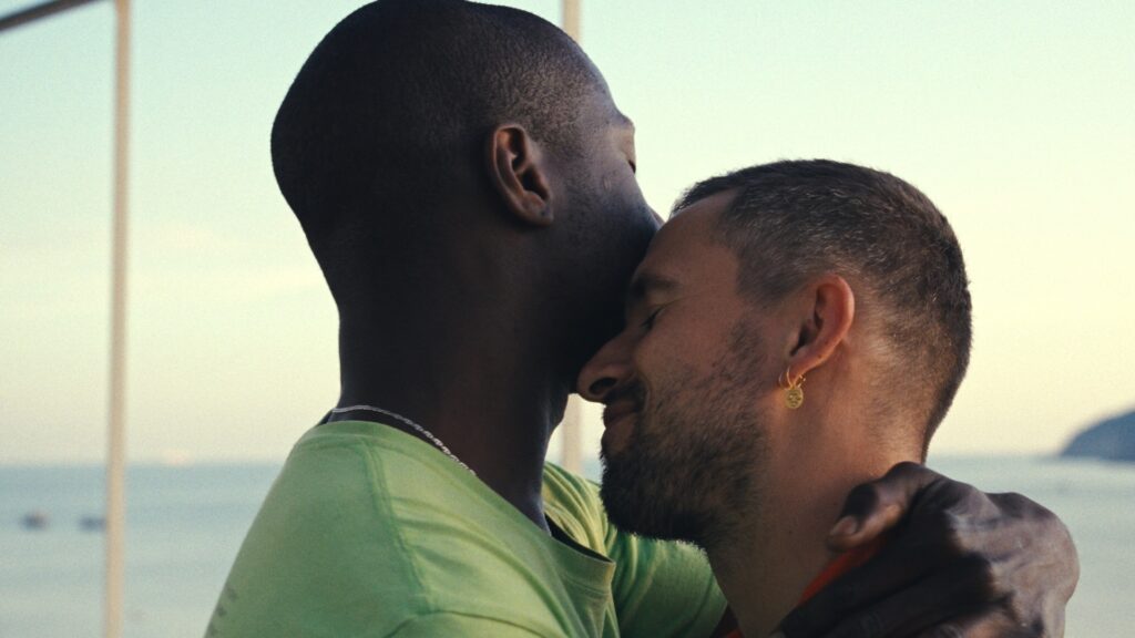Carpobrotus Gay Films Matter