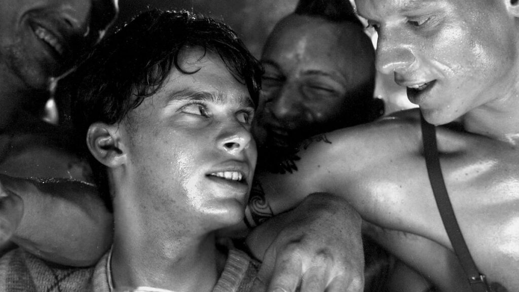 Oi! Warning Gay Films Matter