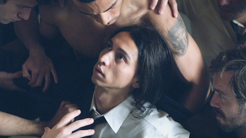 Dominant Species Gay Films Matter