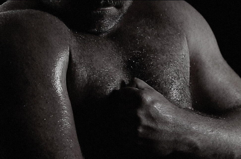 Mass C19H28O2 Gay Films Matter