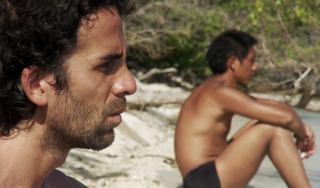 Tijereto Flycatcher Gay Films Matter