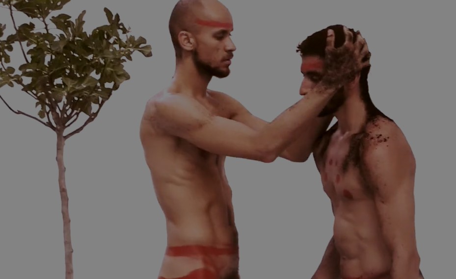Plant Intelligence II Gay Films Matter