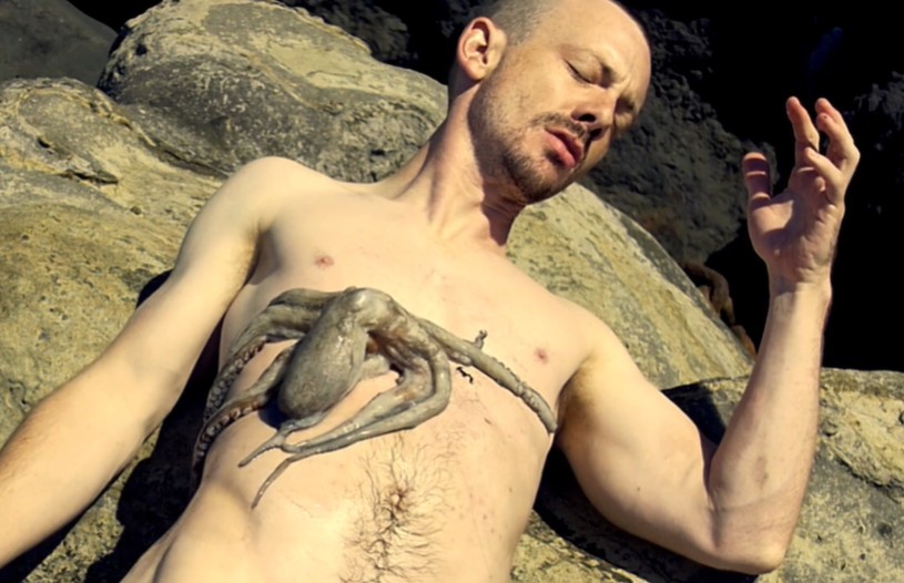 Polpo Gay Films Matter
