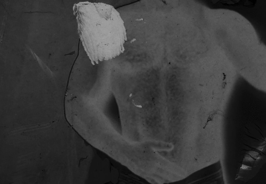 Exhumation Gay Films Matter
