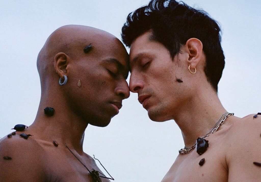My Dear Boy Gay Films Matter
