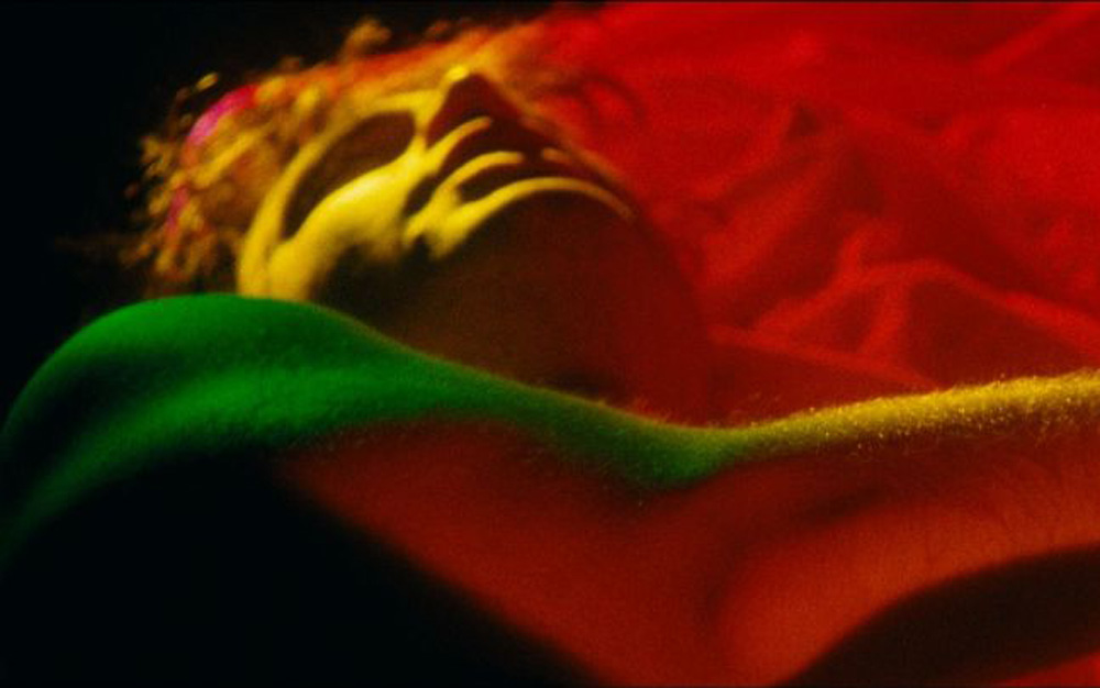 Anything That Moves Gay Films Matter