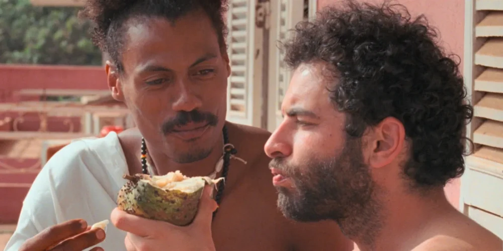 I Only Rest in the Storm Gay Films Matter