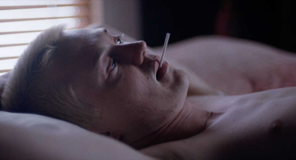 Alley Cat Gay Films Matter