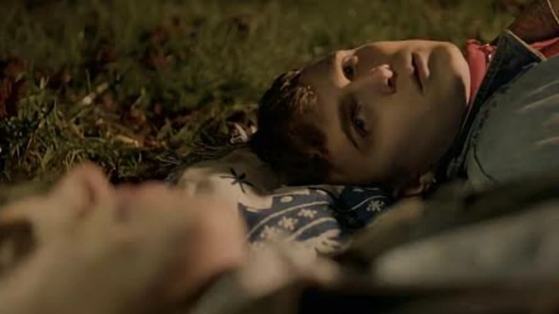Firelight Gay Films Matter