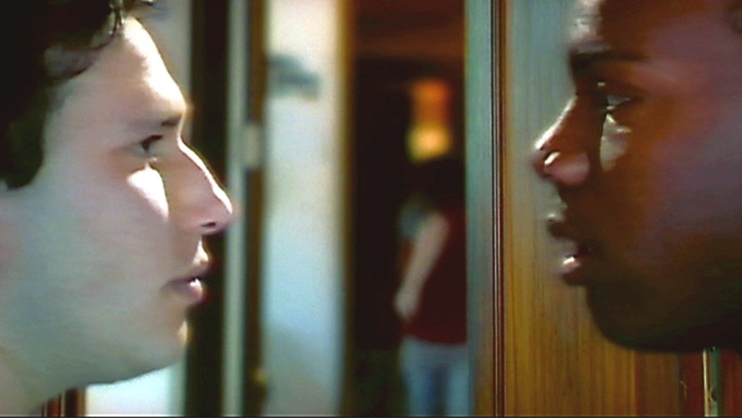 Katydid Gay Films Matter