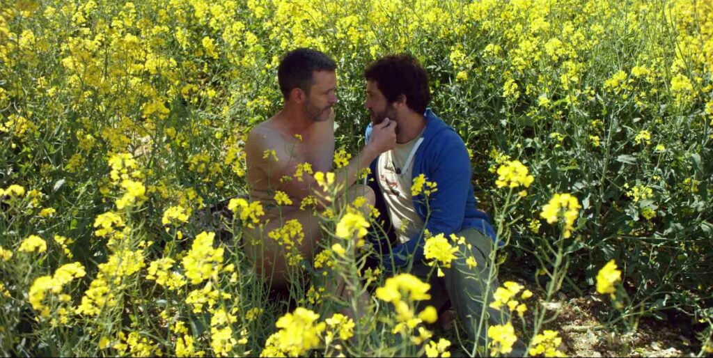 Magnetic Harvest Gay Films Matter