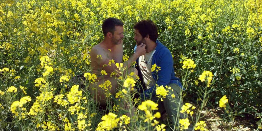 Magnetic Harvest Gay Films Matter