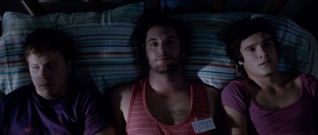 Stray Gay Films Matter