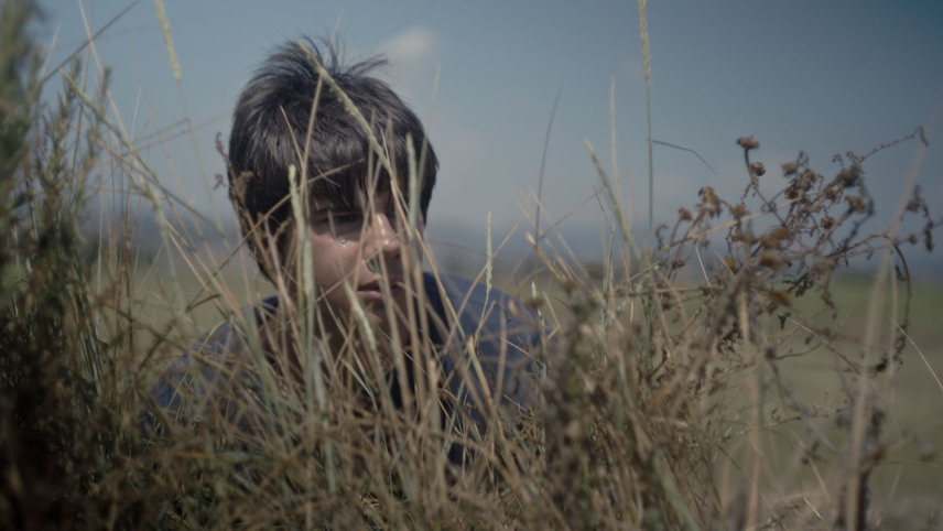The Light That Comes Through Gay Films Matter