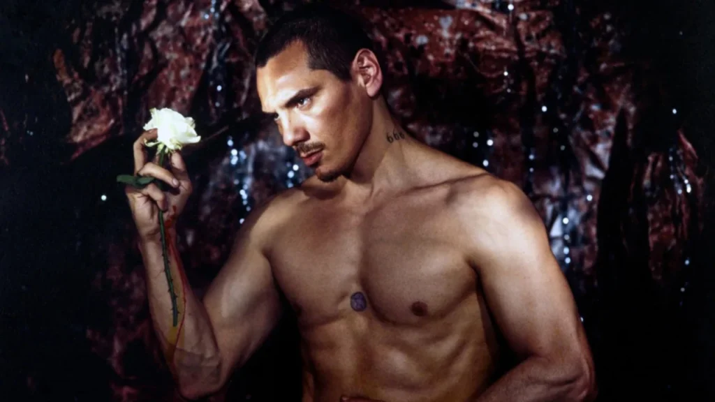 The Material Boy Gay Films Matter