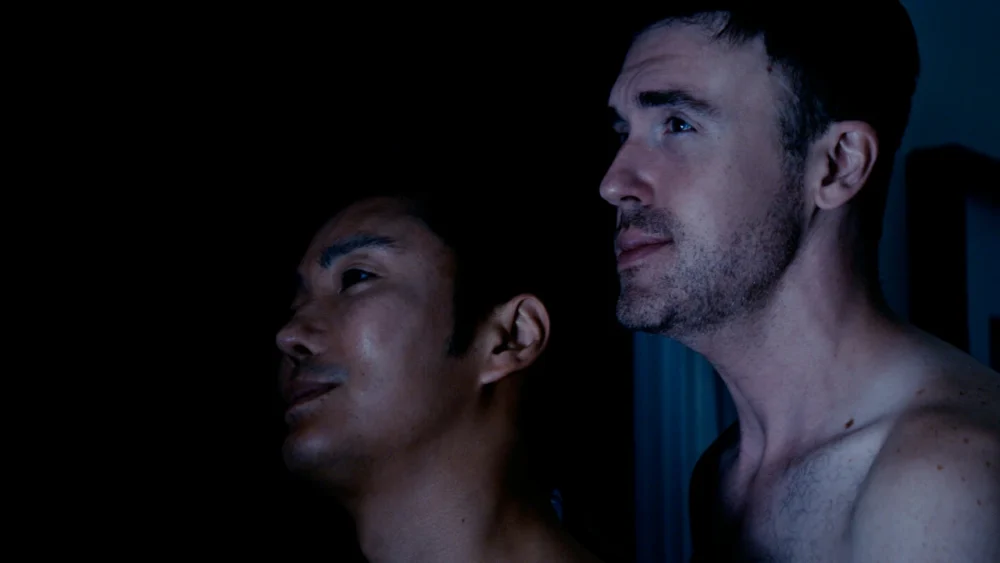 What We Said in the Blackout Gay Films Matter